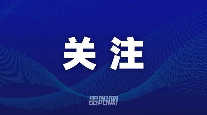 史蒂文斯向布朗道歉!绿军老板回应多笔争议运作:和省钱毫无关系