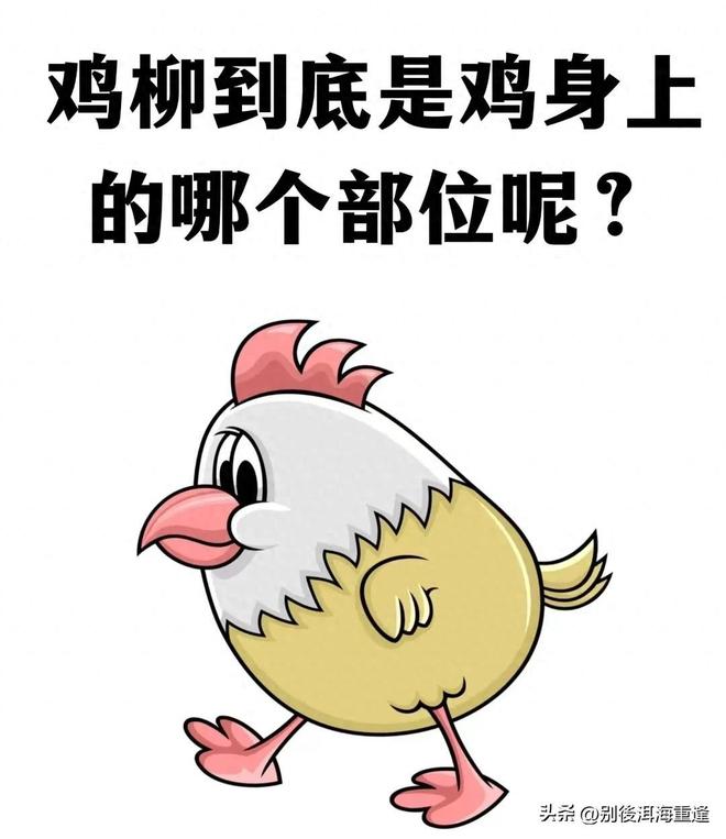 詹姆斯布朗轮休!绿军狂胜残阵76人 乔治首秀13分塔图姆23分