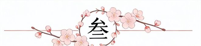 Shams:除斯普利特外 公牛还面试了森林狼助教诺里等三人